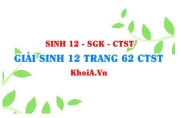 Giải Sinh 12 trang 62 Chân trời Sáng tạo